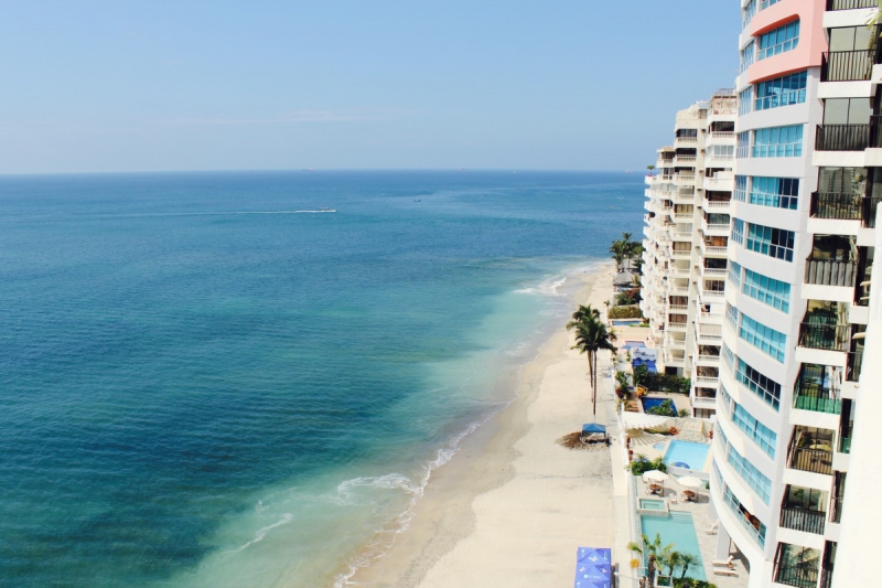 chambre-hote-ST MANDRIER SUR MER-min_beach_ocean_shore_hotel_palm_tree-33726