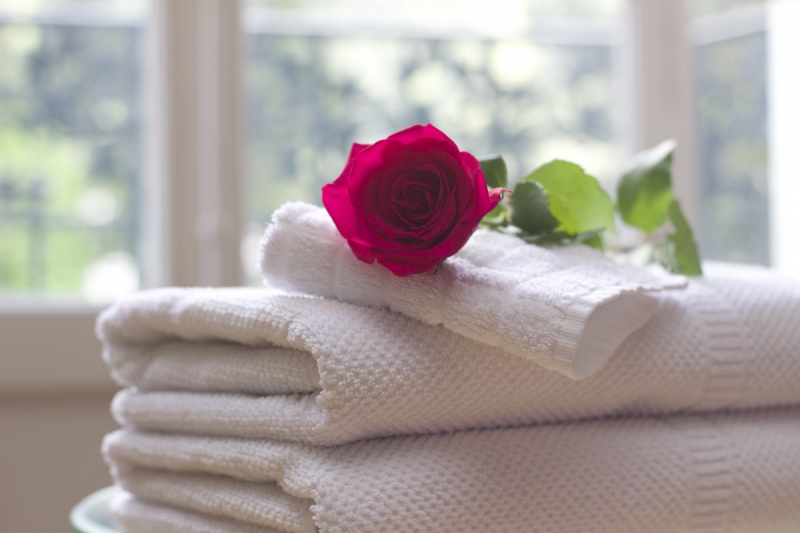 chambre-hote-ST MANDRIER SUR MER-min_towel_rose_clean_care_salon_spa_white_bath-731641